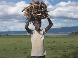 Brigitte Maria Mayer