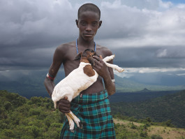 Brigitte Maria Mayer