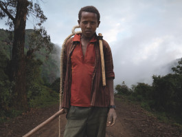 Brigitte Maria Mayer