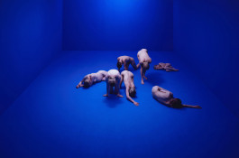 Brigitte Maria Mayer