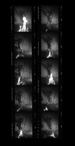 Brigitte Maria Mayer